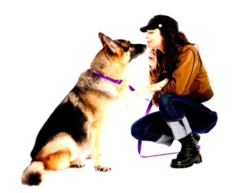 dog-training-las-vegas-dog